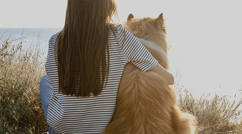 Filosofie en waarden