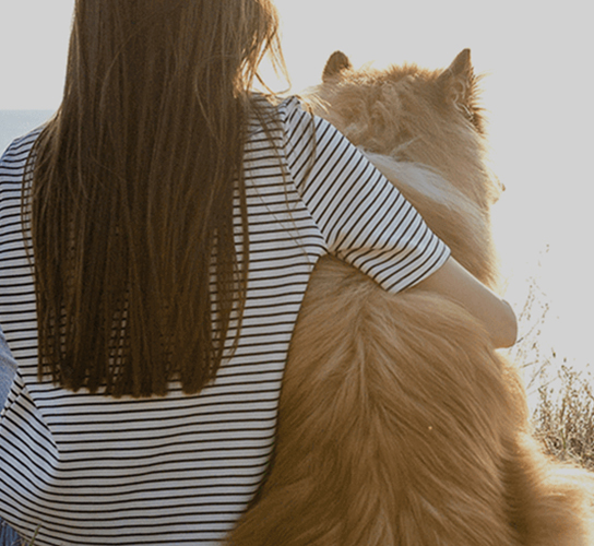 Filosofie en waarden